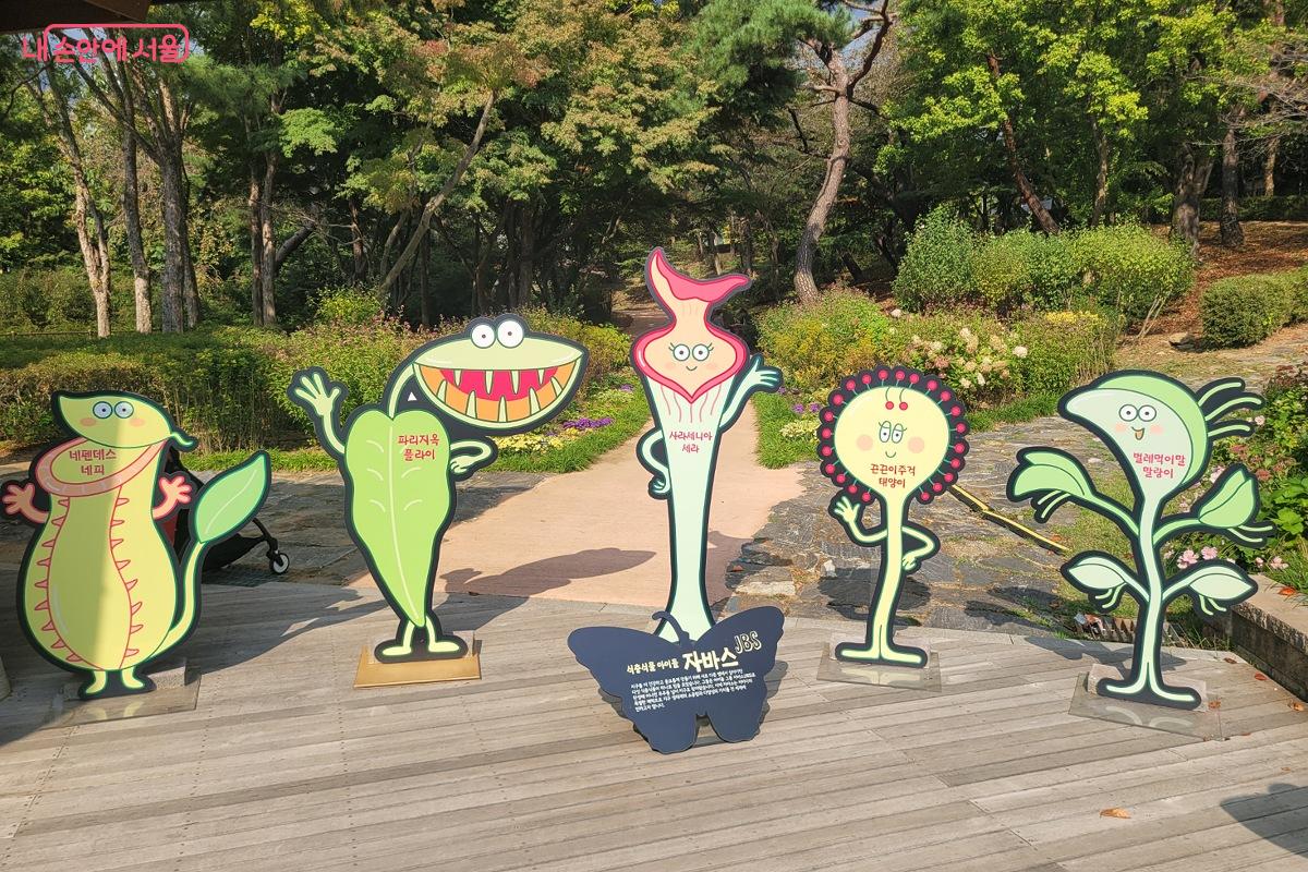식충식물을 아이돌 그룹 캐릭터로 표현했다. &copy;박미선