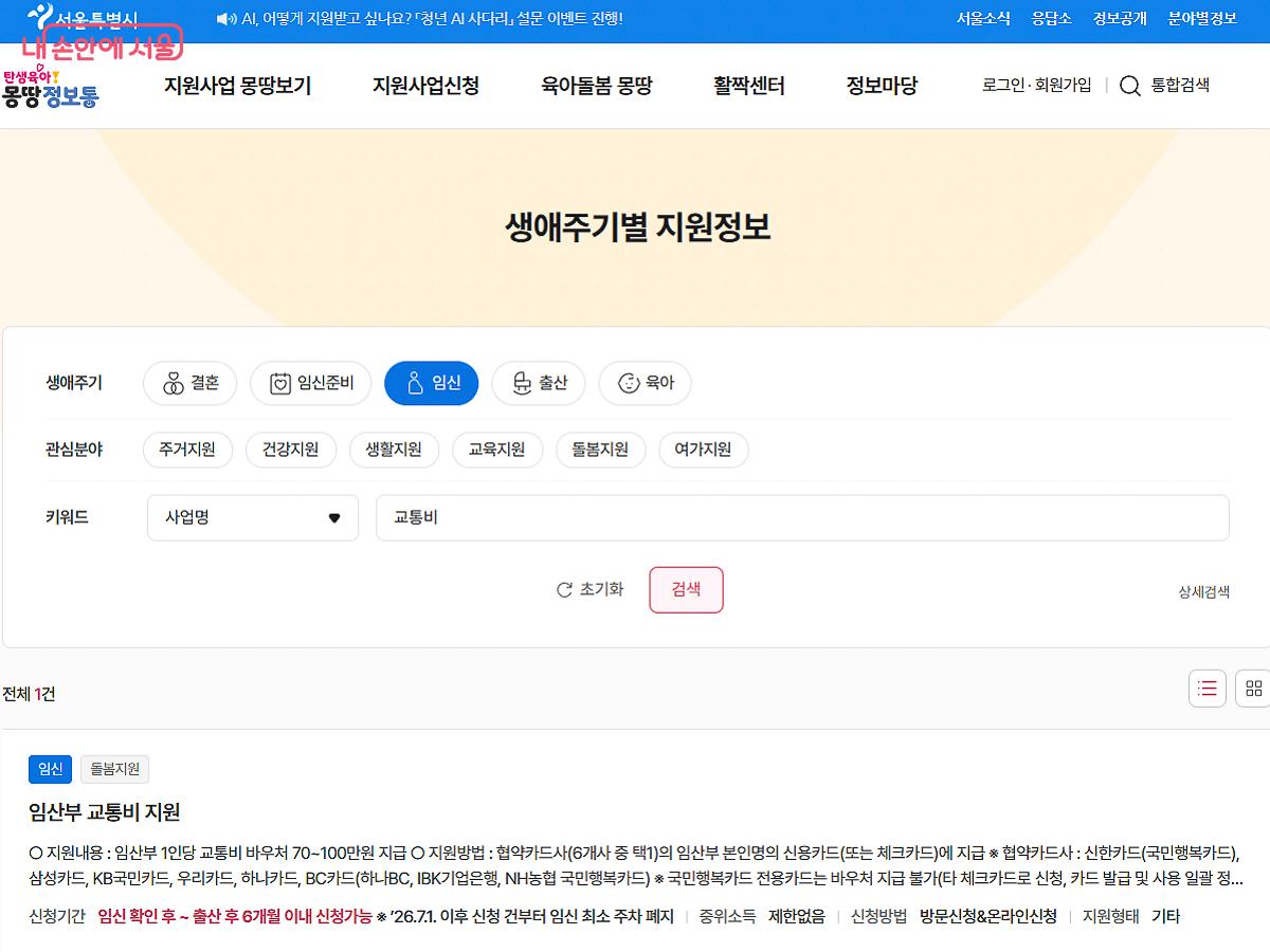 몽땅정보통에 접속하면 서울시의 임산부 지원 정책을 한눈에 볼 수 있다. &copy;몽땅정보통
