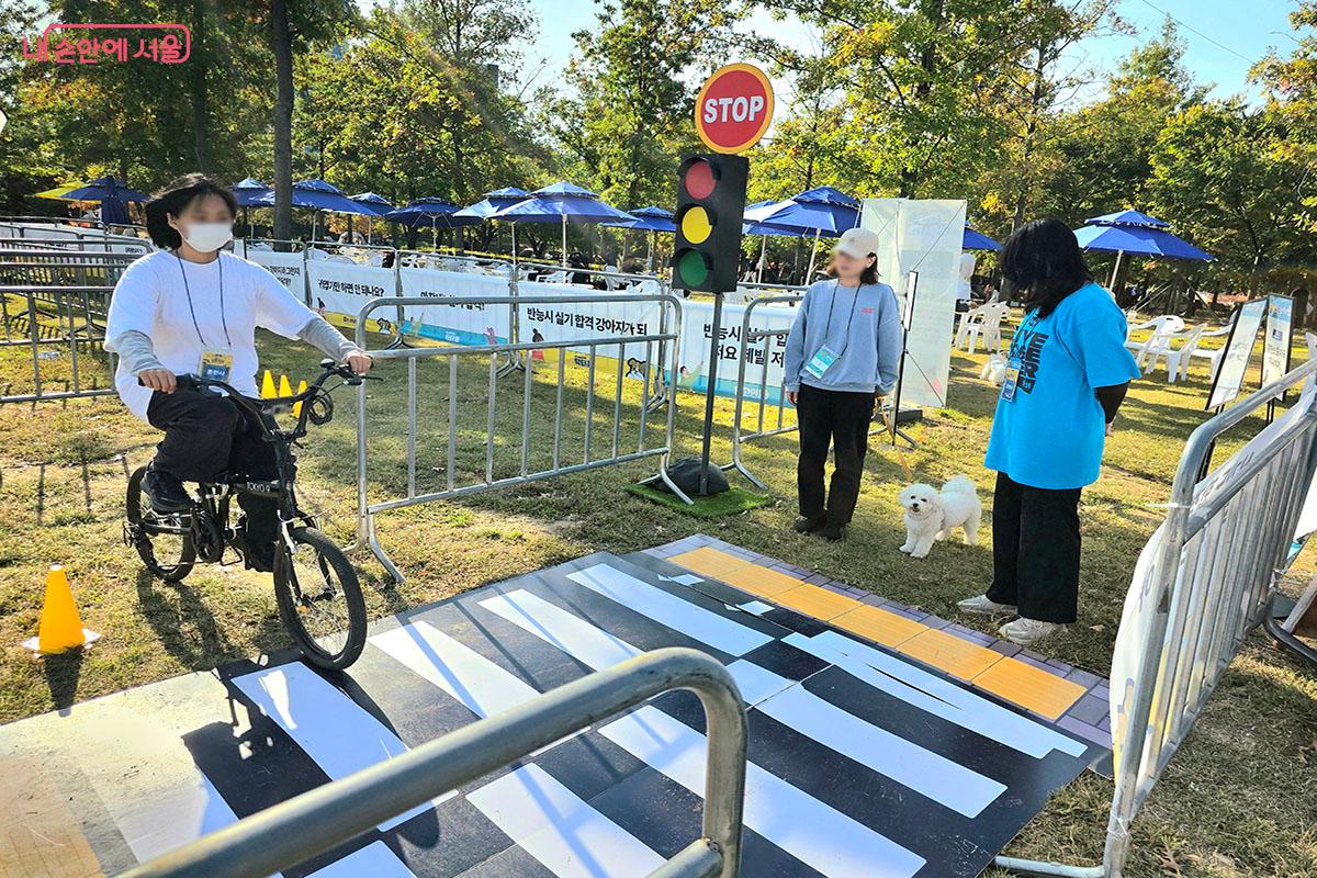 강연에서 배운 내용을 바탕으로 자전거 자극에 대비해보는 산책 둔감화 실기 체험 &copy;이정민