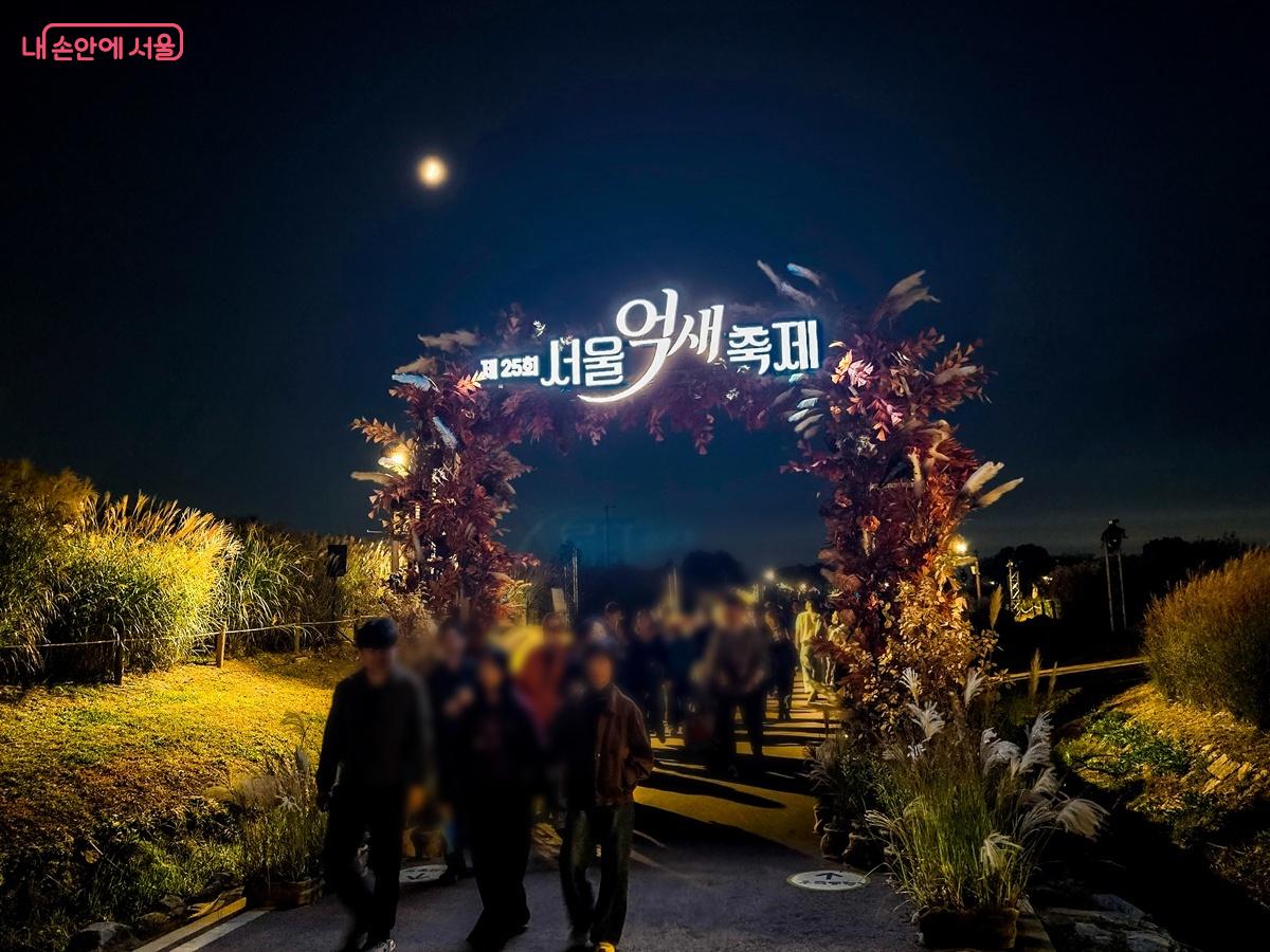 달빛 아래 불 밝힌 서울억새축제 입구 ©양지영