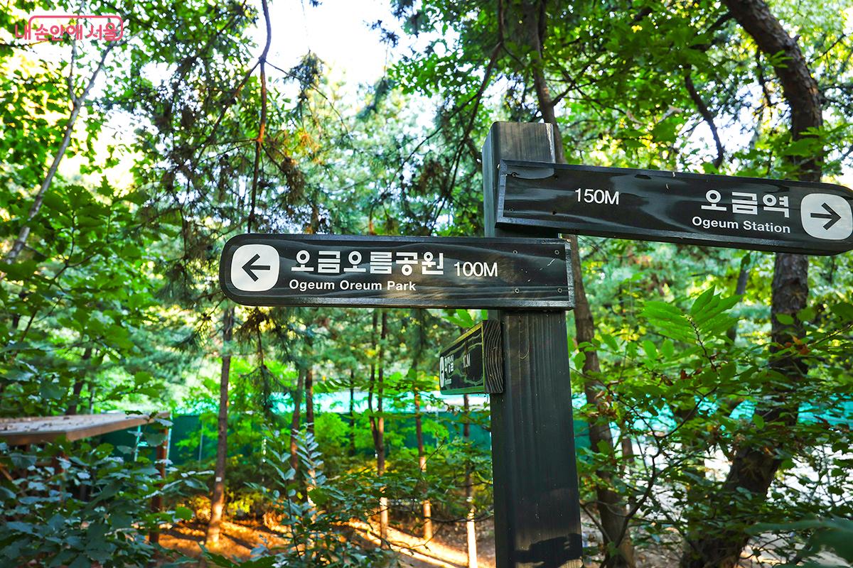 공원 내 모든 길이 잘 이어져 산책을 즐기기 좋다 &copy;김주연