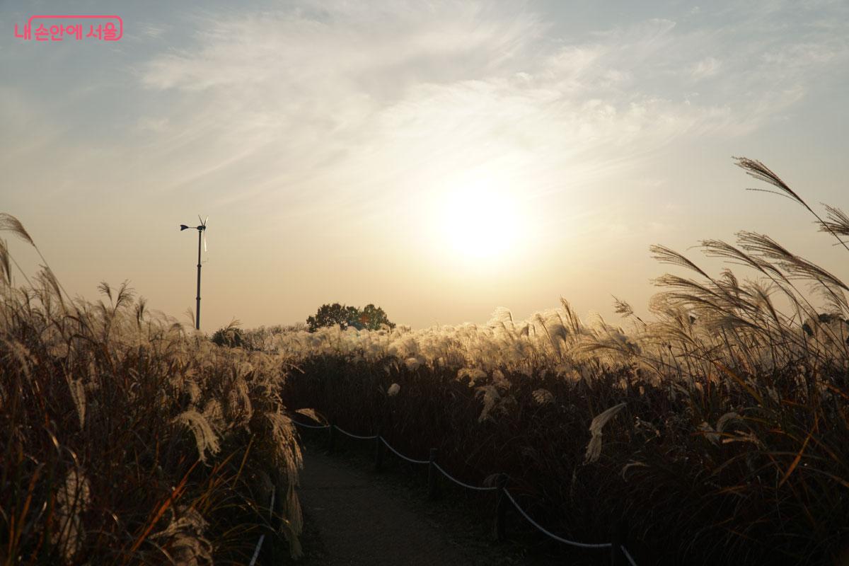 노을 질 때 가면 더 멋진 풍경을 볼 수 있다. &copy;홍혜수