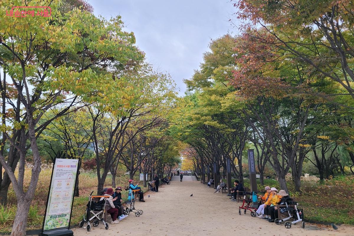 함께 나와 공원의 여유를 즐기는 시민들 &copy;조연