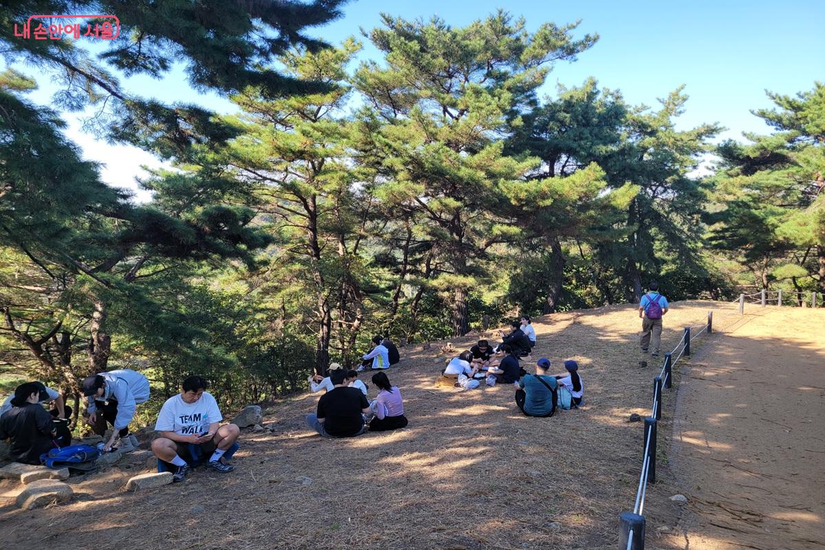 아차산 능선 길옆의 소나무 그늘 아래 앉아 휴식하는 여러 산행객