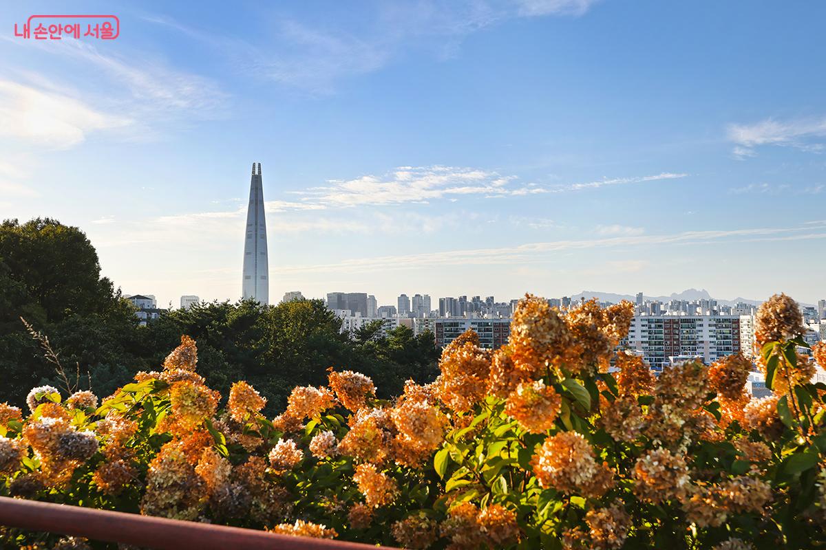 정상에서 서울 잠실 일대의 풍경을 만날 수 있다 &copy;김주연