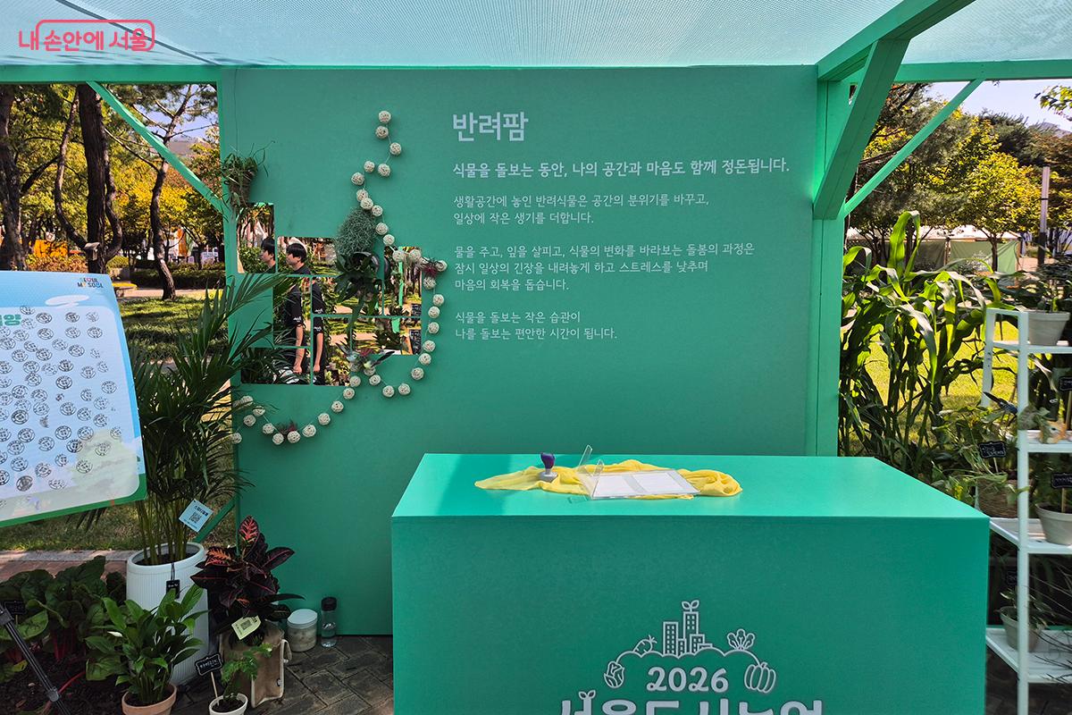 ‘반려팜’은 작은 토분에 담긴 반려식물 입양 프로그램이다.