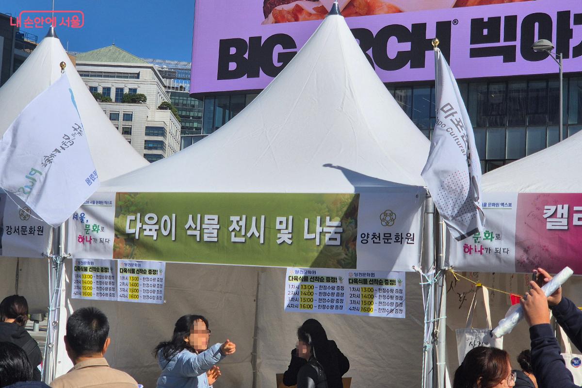 반려식물로 알맞은 '다육이 꽃 화분'을 나눠준 양천 문화원