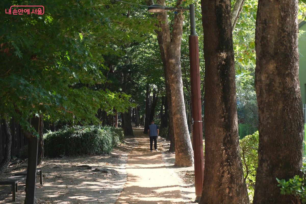 대진공원으로도 바로 연결 되어 또 다른 산책로로 산책을 이어갈 수 있다