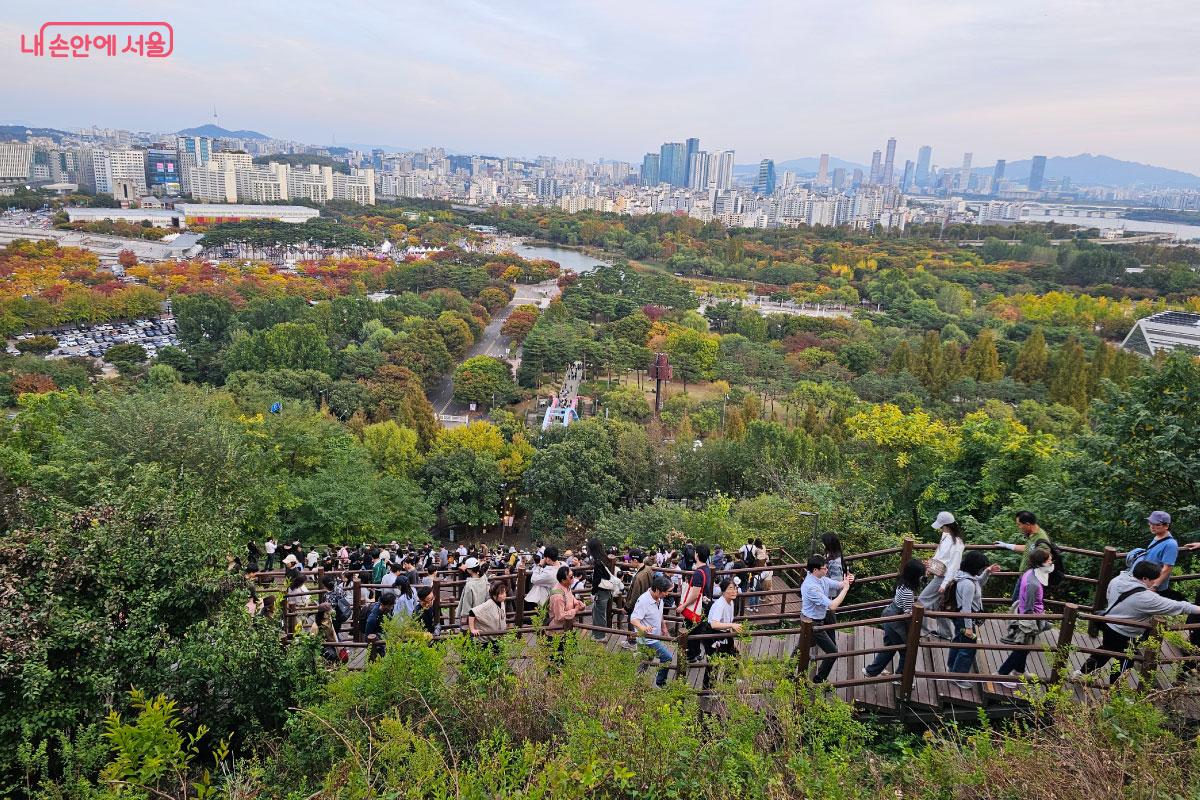 단풍이 가득한 풍경도 한눈에 내려다보인다. &copy;홍혜수