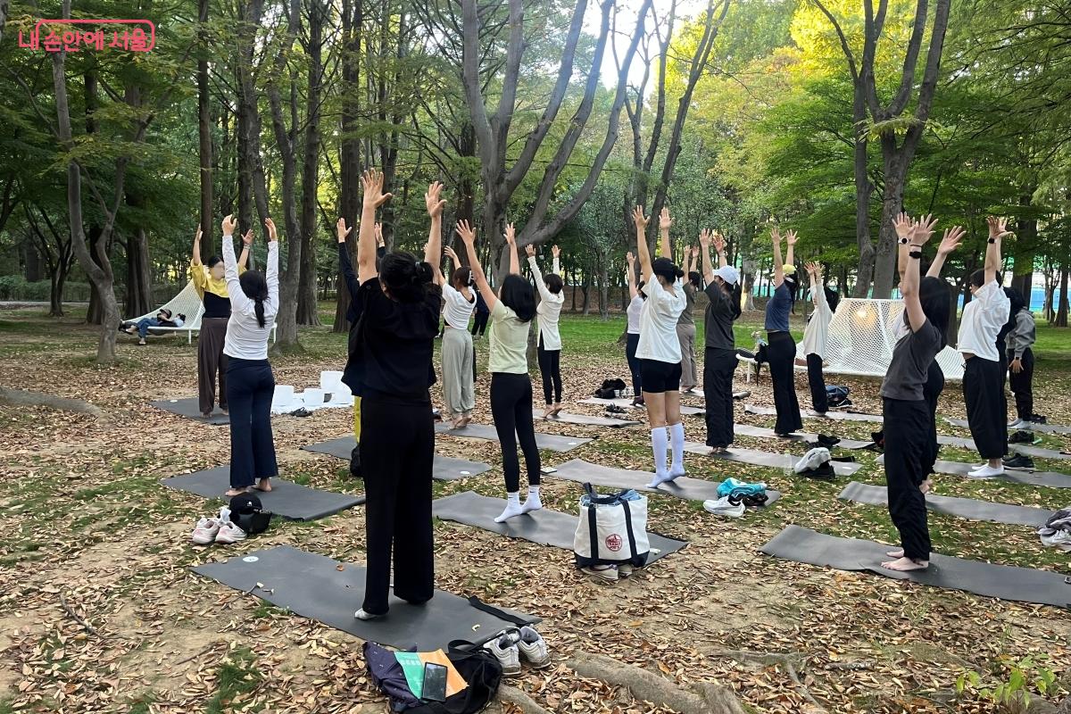 숲의 초록을 바라보며 요가 프로그램에 참여하는 시민들. ⓒ 김연희