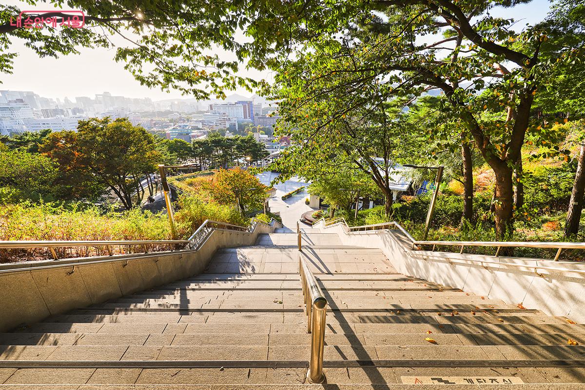 산책길을 오르면 서울 도심의 풍경이 보이고 가을로 물드는 자연을 느낄 수 있다. ©김주연