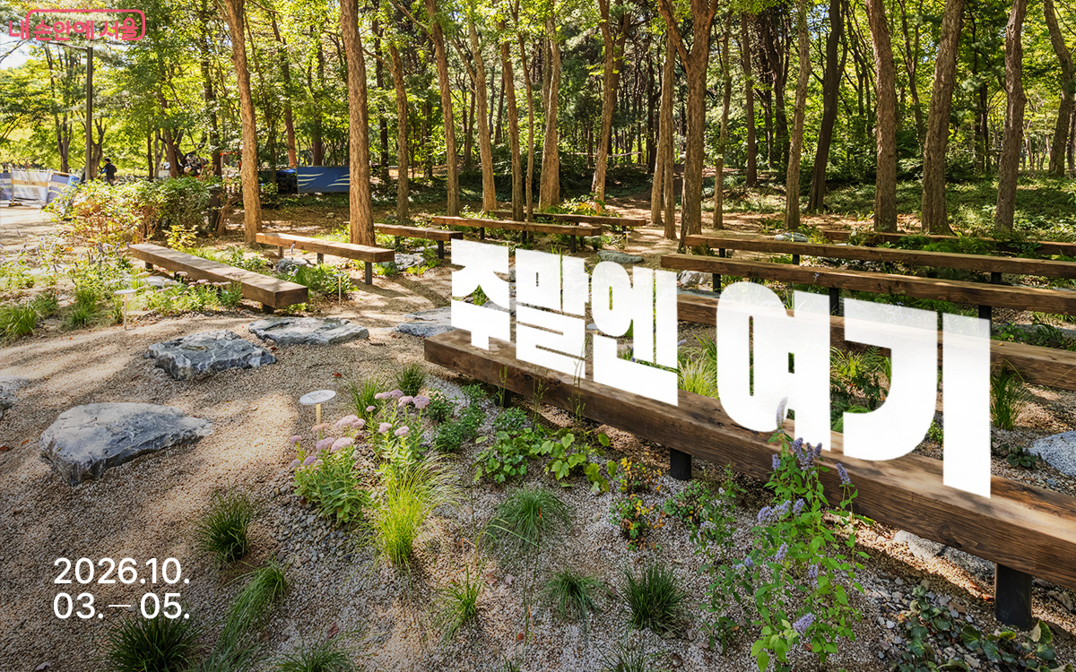 주말엔 여기 2026년 10월 3일부터 5일