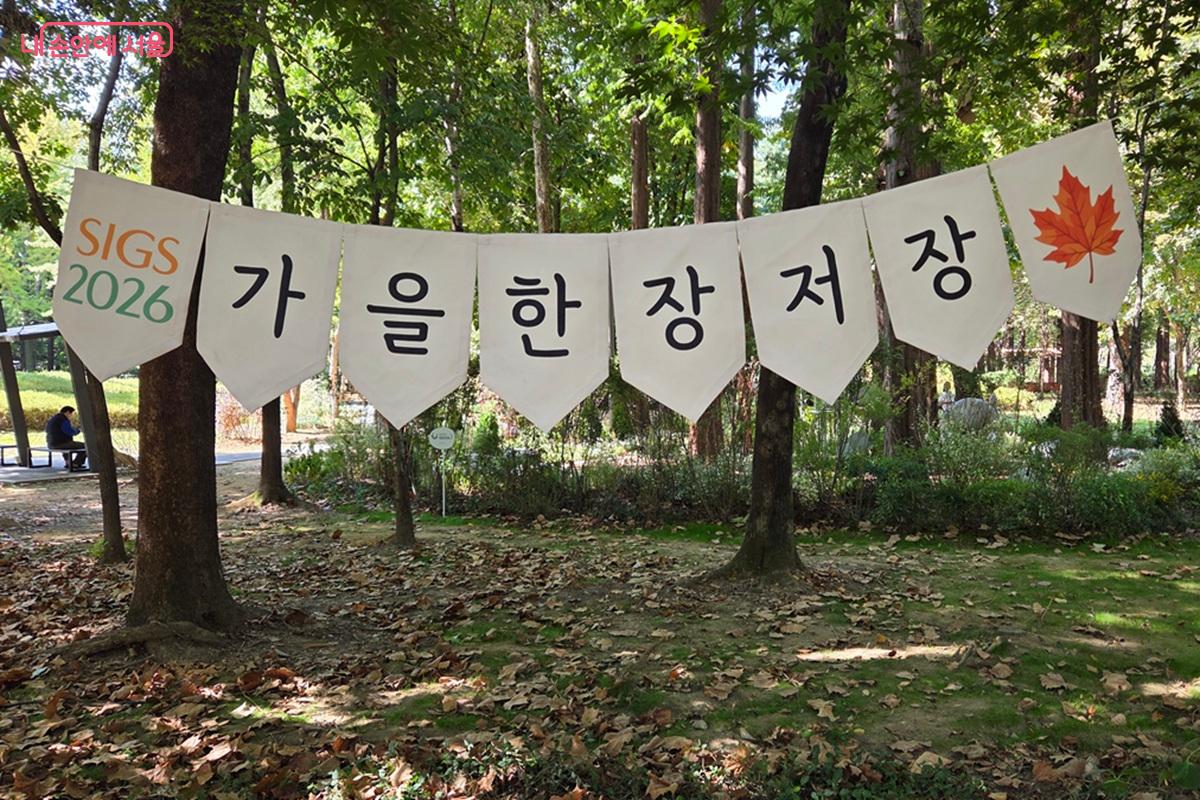 '가을 한 장 저장'이라는 슬로건이 마음에 와 닿는 낙엽 쌓인 매헌시민의숲.