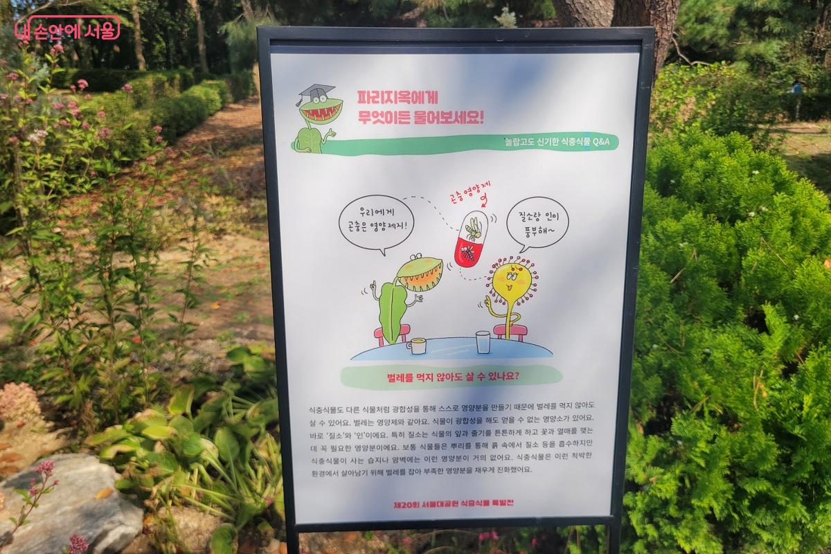 파리지옥은 어떤 식물일까?