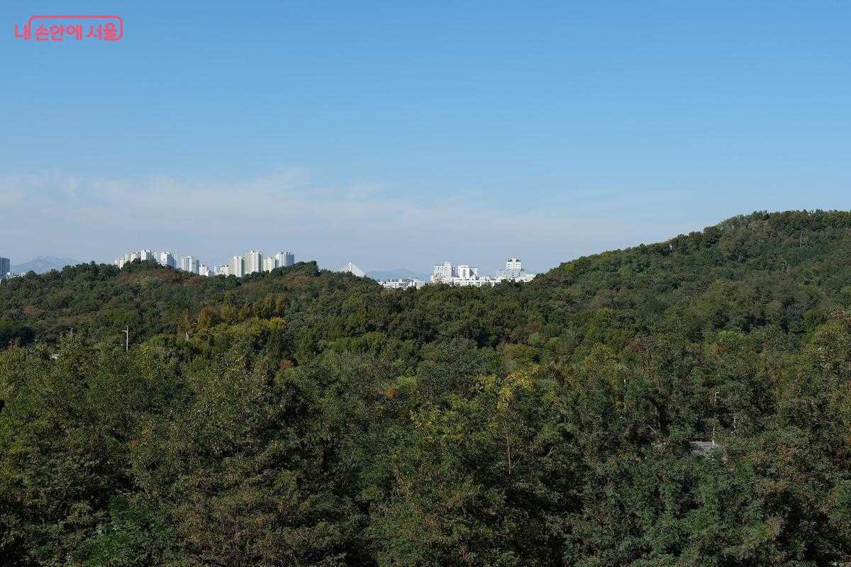 도심 풍경은 아니지만 충분히 유니크한 풍경을 보여주는 일자산허브천문공원 전망대 &copy;서지희