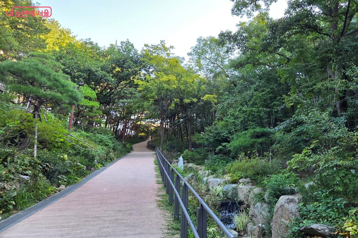 오동물빛정원 건너편은 월곡산 치유의 숲이다. &copy;김미선