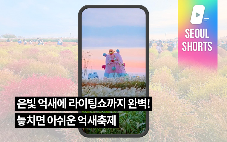 은빛 억새에 라이팅쇼까지 완벽! 놓치면 아쉬운 억새축제