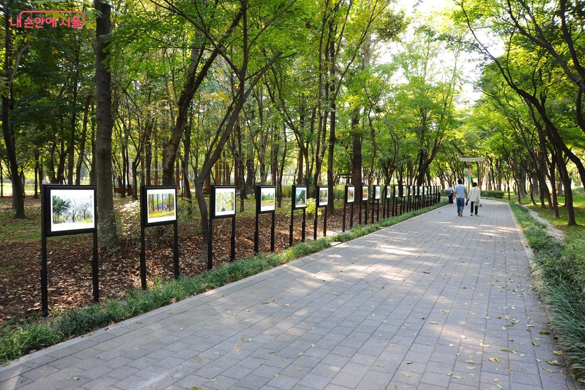 공원 사진사들의 작품을 볼 수 있는 공원 사진 전시회 &copy;조수봉