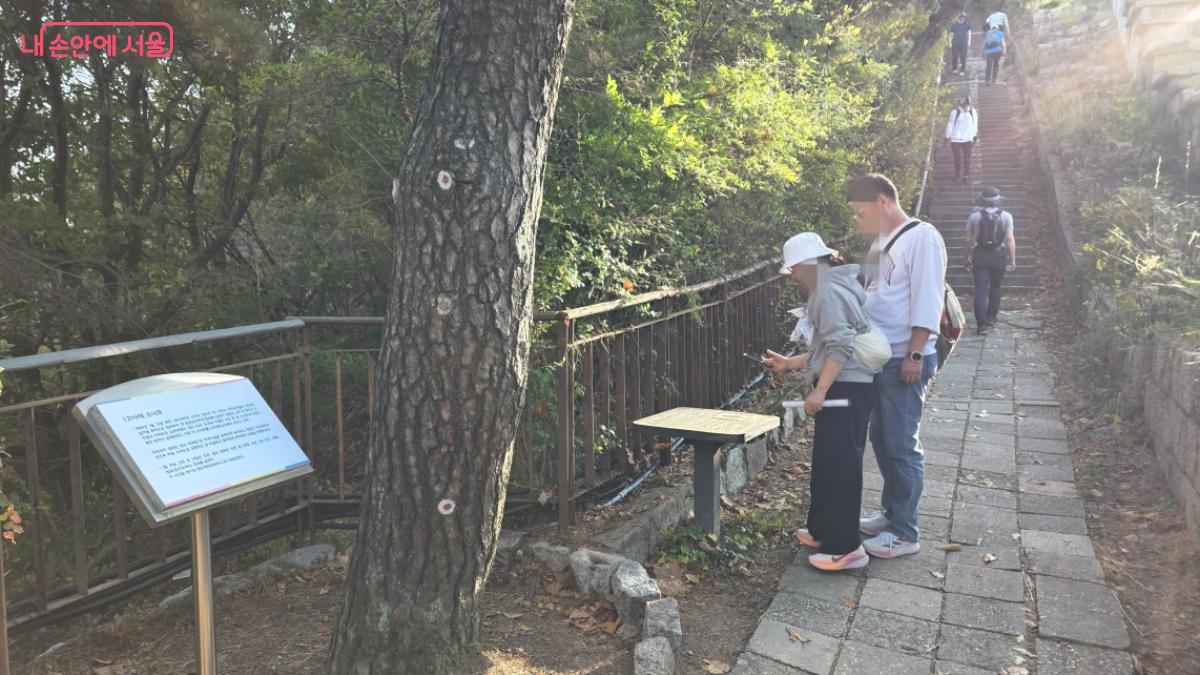 1,21사태 소나무를 살펴보는 탐방객들 ©최용수