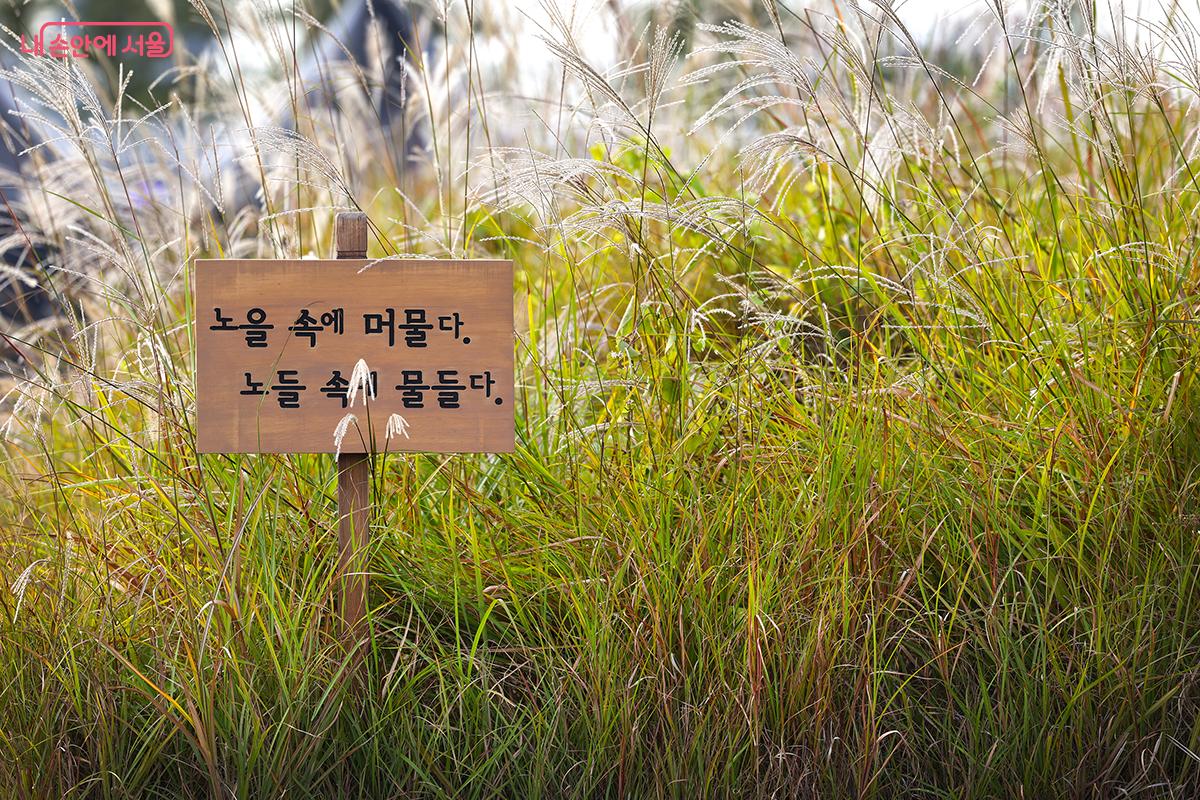 가을 감성 가득한 노들섬의 풍경 &copy;김주연