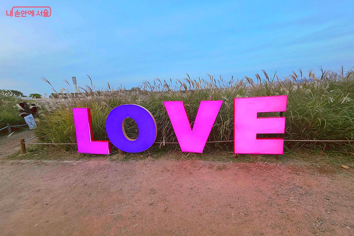 억새밭 사이 큼직한 LOVE 조형물 아래서 연인&middot;가족과 사랑스런 한 컷 &copy;이정민 