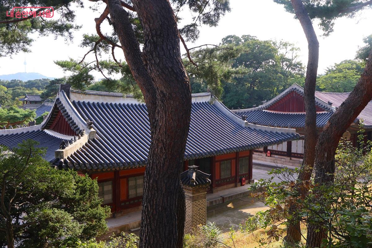 창경궁 전각 지붕과 남산타워 &copy;김대진