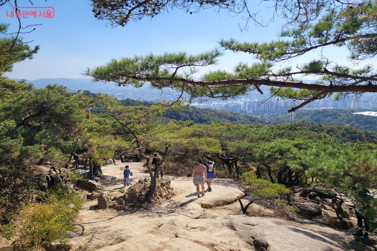 소나무 가지 아래로 펼쳐진 아차산 바위 산길을 여러 산행객이 걷는 모습