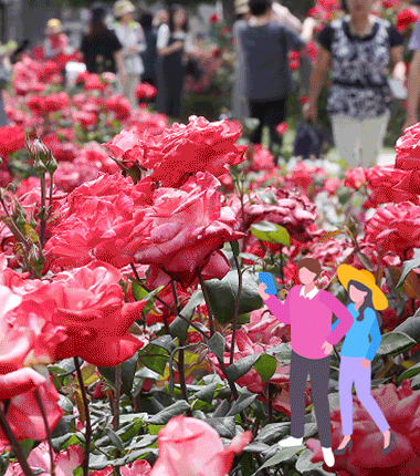 봄축제 어디까지 가봤니?<br>'서울축제지도'로 한눈에 쏙~