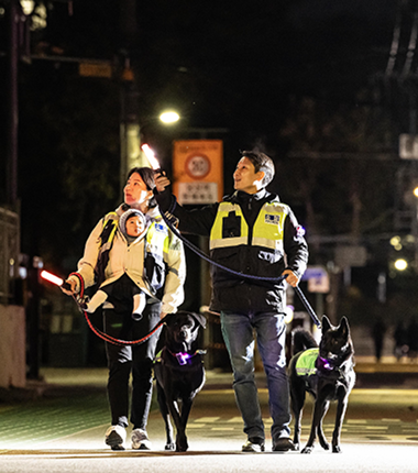 위풍댕댕! 동네 지키는 '서울 반려견 순찰대' 신규대원 모집