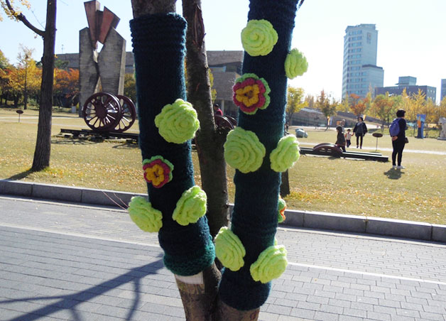 해충방지용 털실옷이 올림픽 공원 가로수를 감싸고 있다
