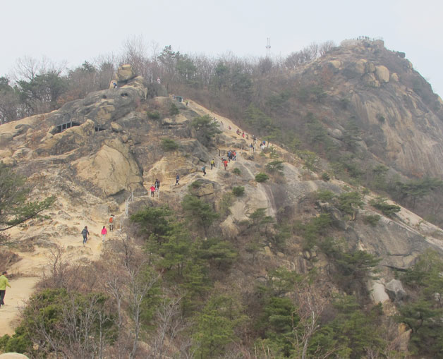 안산 정상 봉수대 가는 길