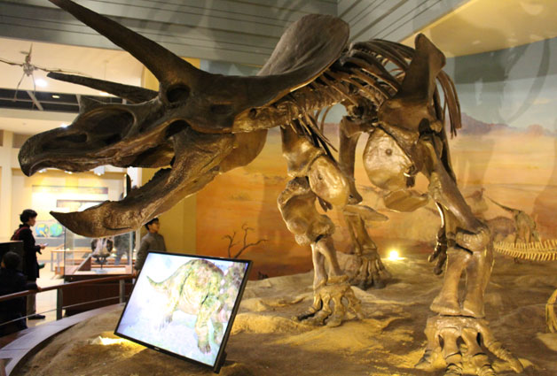 중생대 시대의 공룡 전시