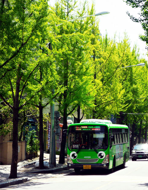 타요버스로 운행되고 있는 마을버스