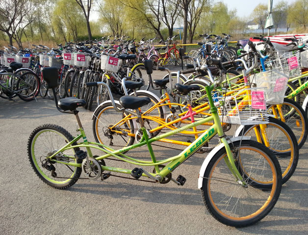 방화대교 남단 아래의 자전거 대여소 자전거들