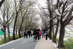 걷기 좋은 서울