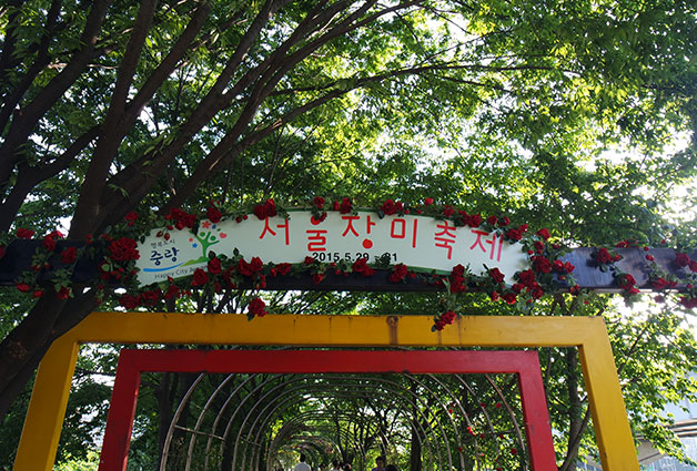 서울장미축제가 5월 29일부터 3일간 중랑천변에서 열린다