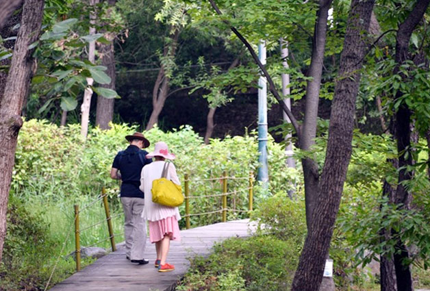 남녀노소 많은 시민들이 찾아오는 봄날의 효창공원
