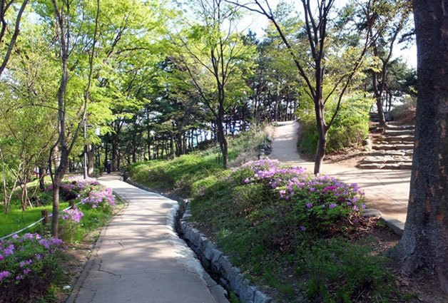 과거 조선왕조의 묘원답게 수목이 울창하고 양지바른 산책길이 나있다