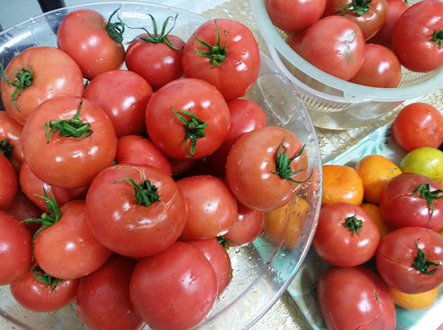 각종 영양소가 풍부한 토마토