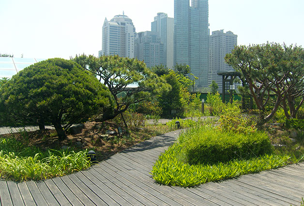 생태학습공간으로 변신한 동부공원녹지사업소 옥상