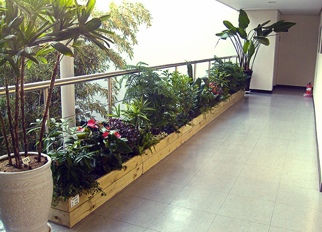 실내에서도 잘 자라는 20여종의 식물을 만날 수 있는 2층 전시공간
