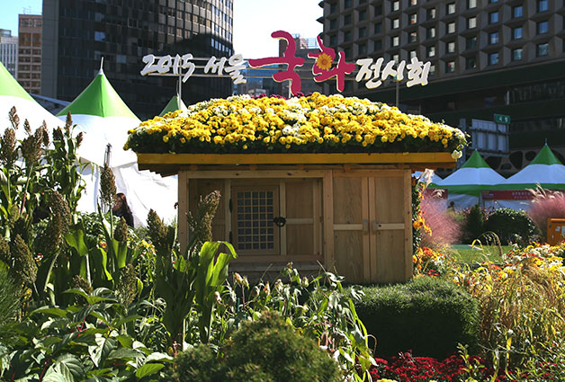 11월 15일까지 열리는 서울광장에서 열리고 있는 2015 서울국화전시회