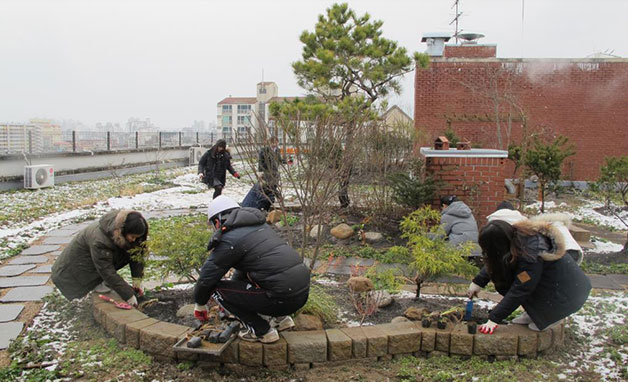 강동구 둔촌고 학생들이 학교 옥상에 생태공간을 조성하고 있다