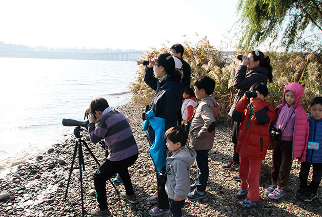 한강에 찾아온 철새를 관찰하는 아이들