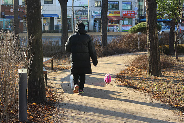 숲길에서 강아지와 산책하고 있는 시민의 모습