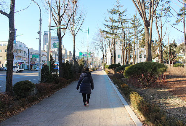 서울혁신파크의 담장 개방 후, 시민이 거리를 걷고 있다