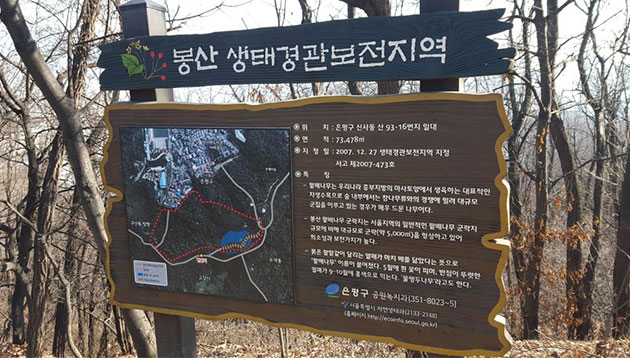 서울시생태보전지역으로 지정된 봉산 팥배나무군락지