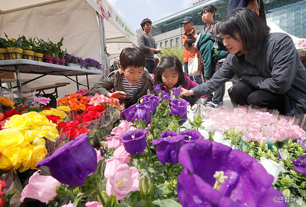 서울광장에서 열리는 `봄 꽃 나무 나눔 시장`을 찾은 시민들 ⓒ연합뉴스