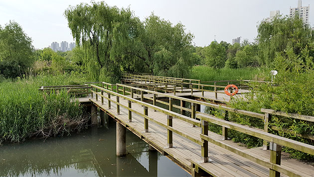 생태연못 위에 설치된 나무데크 무장애 산책로 모습