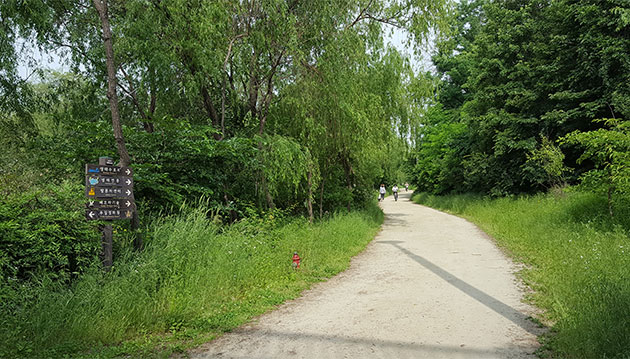 해오라기숲길을 따라 산책하고 있는 시민들 모습